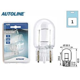 Stiklo pagrindo lemputė