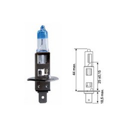 Halogenbulb H1