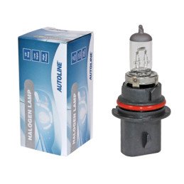 Halogēna spuldze HB1 9004
