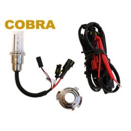 Лампа COBRA Xenon H6M 35W...