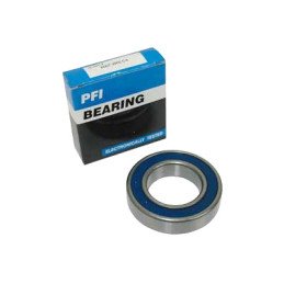 Gultnis PFI 6007-2RS/C3,...