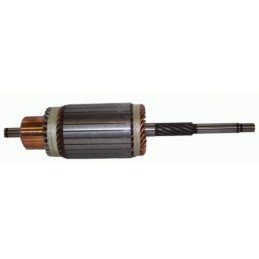Starter Motor Armatures new...
