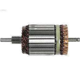 Starter Motor Armatures new...