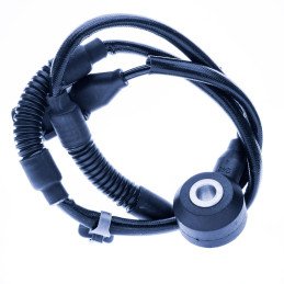 EPS2253 Knock sensor