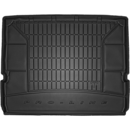 KILIMĖLIAI BAGAŽINEI FORD...