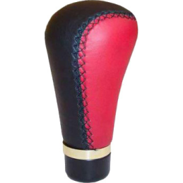 PAVARŲ SVIRTIES ANTGALIS