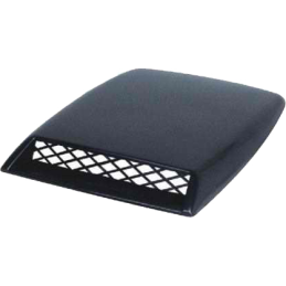 ORŲ ANGŲ IMITACIJA