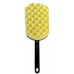 SPONGE