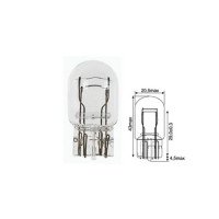 Bulbs - Glass socket